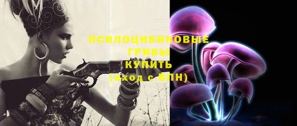 гидропоника Верхнеуральск