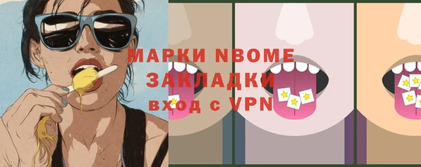 сатива Верея