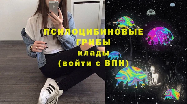 сатива Верея