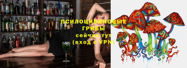 гидропоника Верхнеуральск